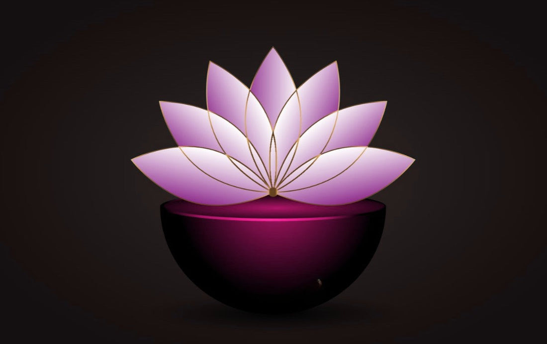 Grounded to Rise: The Lotus Symbol at Sandrianna & Co.