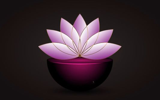 Grounded to Rise: The Lotus Symbol at Sandrianna & Co.